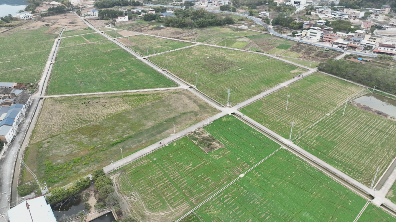 蕉岭县人民政府(图4)