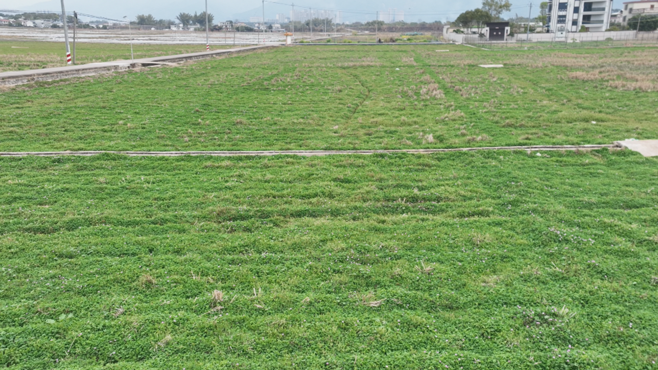 蕉岭县人民政府(图5)